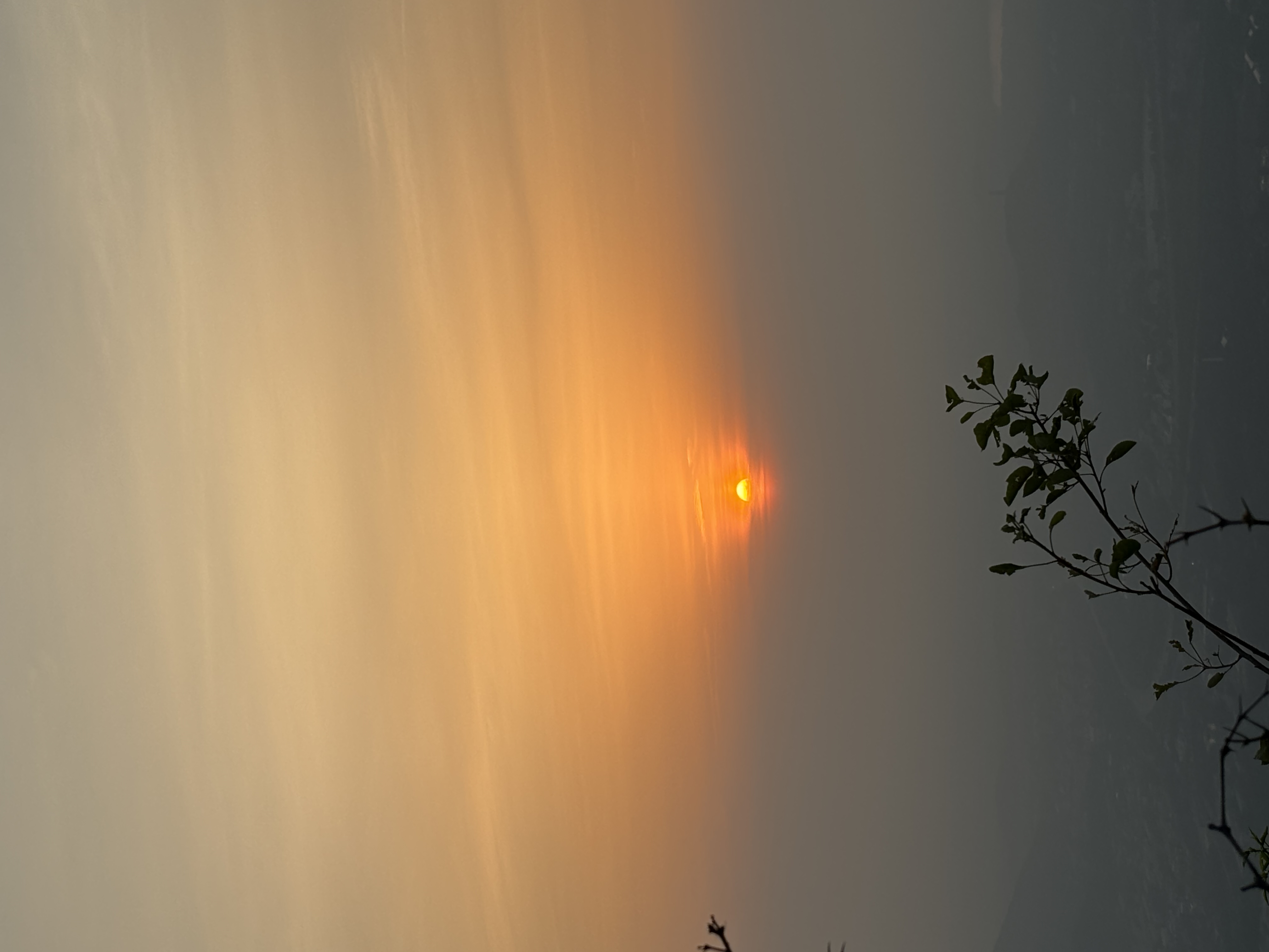 3cc9295da0310e47b385e43dcd509d0.jpg
